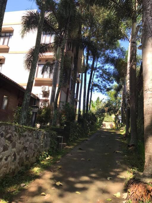 Villa Naumi Bandung Exterior photo